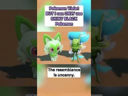 SHINY BLACK Only in Pokemon Violet