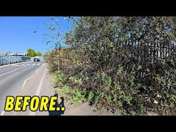 Nature Strikes Again! Clearing Risky Path For Pedestrians & Cyclists