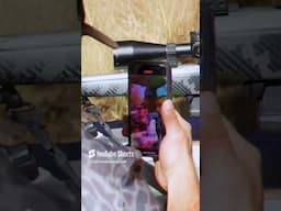 Simple way to be a better shot