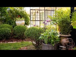 From messy to magical: Garden progress you can feel 🌼