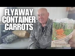 How To Grow Container Carrots Flyaway [Container Gardening ]