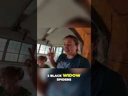 The Abandoned House Is Full Of Black Widow Spiders! #abandonedhouse #homeimprovement #diyprojects