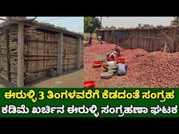 ಕಡಿಮೆ ಖರ್ಚಿನ ಈರುಳ್ಳಿ ಸಂಗ್ರಹಣಾ ಘಟಕ | onion grading and storage system | onion farming in kannada