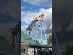 Talon is GORGEOUS #rollercoaster #amusementpark #themepark