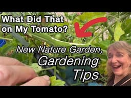 Gardening on the FREE So Many Things Soil, Vegetable Plants and Flowers Enjoying the Morning Garden