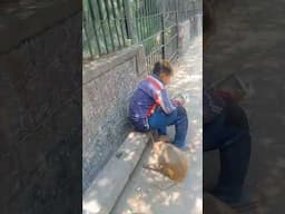 Bander Raj around Rohini Court in Delhi