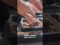 Top Seed Starting Mistakes Gardeners Make (And How to Fix Them!) 🌱 Part 1