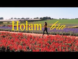HOLAMBRA: O que fazer em um final de semana