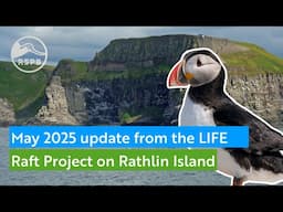 LIFE Raft - Project Update May 2025 | RSPB NI