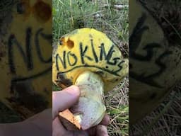 NO KINGS: Only Butters