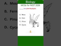 Plant Kingdom for NEET 5 | Quick Revision Shorts #biology #neetbiologymcqs #neetbiology #mcqsseries