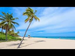 Summer Beach Jazz and Bossa Nova Music 🌴 Sunny Bossa Jazz to Relax, Chill Out