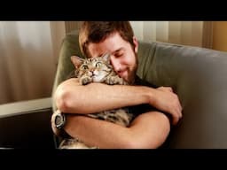 My Husband with the Cat He Thought Wasn’t for Him - Cute Cat and Human