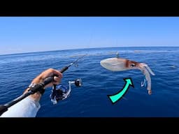 THREE PB's in ONE DAY! Lake Atlantic Offshore Fishing! BIG FISH!!