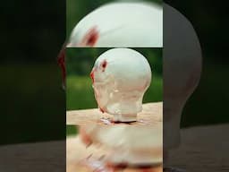 Pellet vs Skull