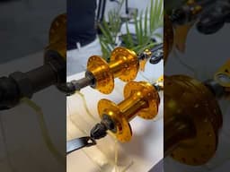 Golden hubs, black hub, rainbow hubs, sealed bearing hubs, normal hubs, latest hub collection #viral