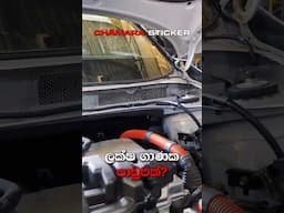 Rat Control For The Brand NEW Vehicles 😍