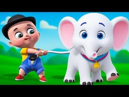 New! Lola The Baby Elephant Song New Compilation | Animals Farm | Baby Cartoon Kids Songs Baby Bobo