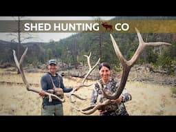 Epic Backcountry Elk Shed Hunt | Spring 2025