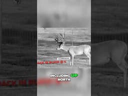 Living Legend #deerfarm