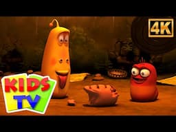 Kids Funny  Cartoon - Ham and More Larva Funny Videos for Kids
