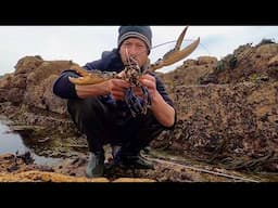 Big Foraged Lobster & Abalone - Catch Clean Cook , Coastal Foraging Seafood
