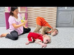 First appearance ⚠️Cutis with baby monkey was punished