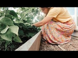 SLOW HOMEMAKING My Garden Tour- God's Way...