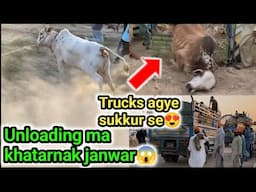 Bachri bachre aj bhag gaya😯| kaley bachre ke sode ki khoshish😍