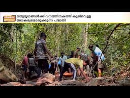 ലോക വന ദിനത്തിൽ വേറിട്ട മാതൃകയുമായി കാസർഗോട്ടെ മാധ്യമപ്രവർത്തകർ