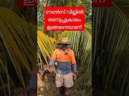 ഓസ്ട്രേലിയ തണുത്തു വിറക്കുന്നു? #australia