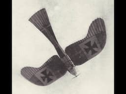 Etrich Taube - “It’s a Bird! No, It’s a Plane!”