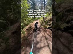 On Leash Adventures with Your Dog 🤩 #shorts