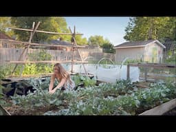 June 2025 Backyard Garden Tour - Kansas - THE GARDEN IS BEHIND!