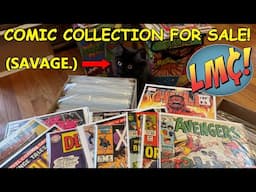 I Checked Out a Local Comic Collection for Sale… What Was Worth Picking Up?