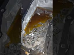 CVT's Suck! Even If Its A Honda!