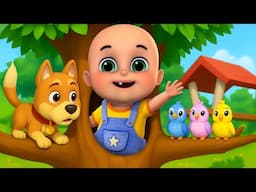 Baby Bingo Song New Compilation | Three Little Kittens | Baby Cartoon and Kids Songs | Baby Bobo