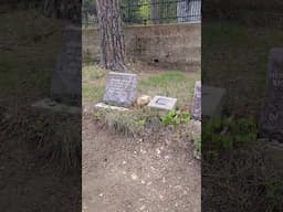 Deadwood's Mt Moriah Cemetery #historicalfigures #history #historical  #famousgraves #summeronshorts