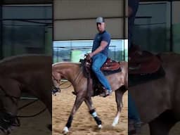 Struggling with a sensitive horse that reacts to leg pressure? 😬