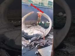 #strange #outdoors #creature #viralvideo #unbelievable #impossible #shorts #shortvideo #feed #ttg