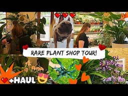 I can't believe I finally got this plant!!!🥹💎 Rare plant shopping with my husband + haul 🌿