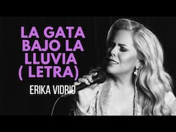 LA GATA BAJO LA LLUVIA- ERIKA VIDRIO ( LETRA)