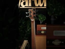 Warwick Limited Edition 2024 5-String | TeamBuilt Version