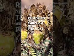 The Buenos Aires National Wildlife Refuge working to protect and restore the ecosystem in Az.