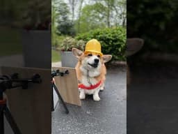 Clear the roads!