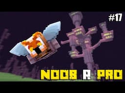 DE NOOB A PRO #17 INTENTAMOS CONSEGUIR LA ELYTRAS | MINECRAFT FARGAN