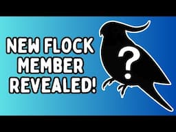 New Bird Revealed - What Has Happened To Fish The Cockatiel ? | TheParrotTeacher
