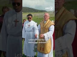🐄🙏✝️ Holy Cow!? – Elsässer Almauftrieb mit Muh und Amen | ARD Reisen #ardreisen #elsass #frankreich