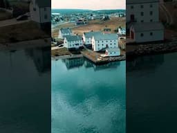 Bonavista's bounce-back is inspiring