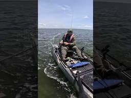 The best Baitcasting RODS???? TEST